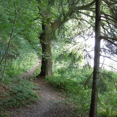 Panzió Anno 1772 Dattenfeld