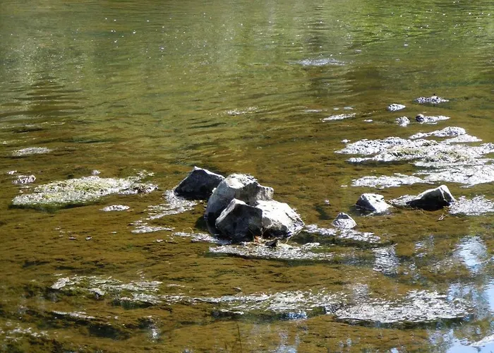 Anno 1772 Bed & Breakfast *