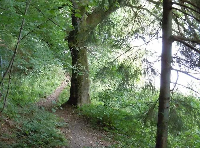 Bed & Breakfast Anno 1772 Dattenfeld